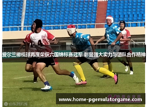 爱尔兰橄榄球再度荣获六国锦标赛冠军 彰显强大实力与团队合作精神 爱尔兰橄榄球再度荣获六国锦标赛冠军 彰显强大实力与团队合作精神